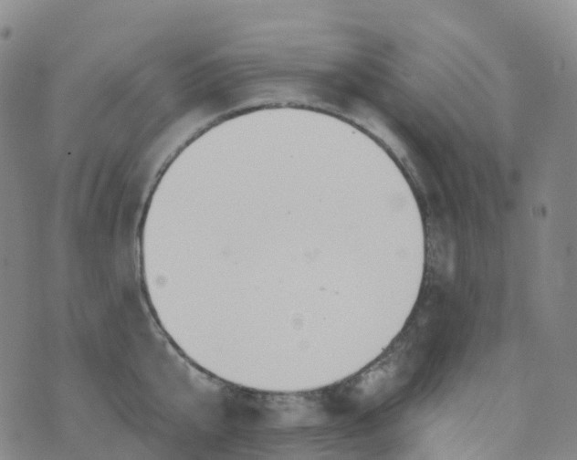 X0000076420807200610202218