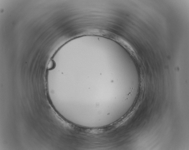 X0000076420808200610202218