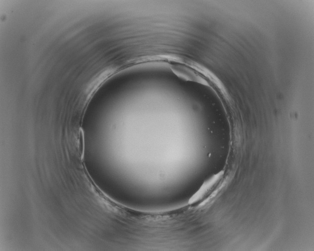 X0000076420809200610202218