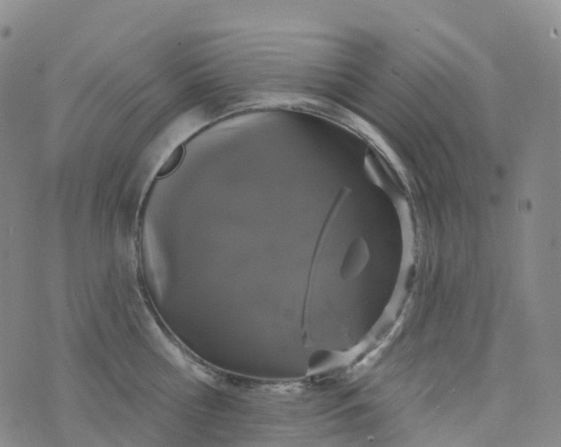 X0000076420810200610202218