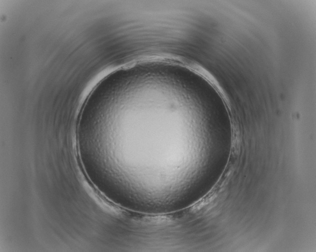 X0000076420811200610202218