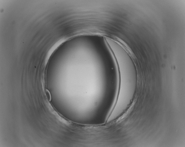 X0000076420812200610202218