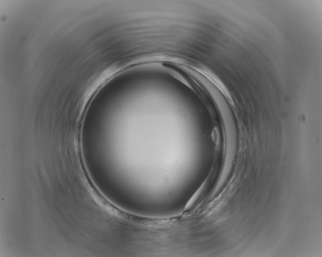 X0000076420813200610202218