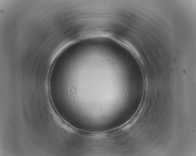 X0000076420814200610202218