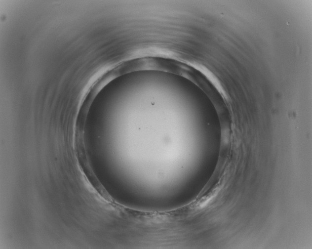 X0000076420815200610202218