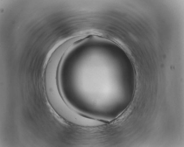 X0000076420816200610202218