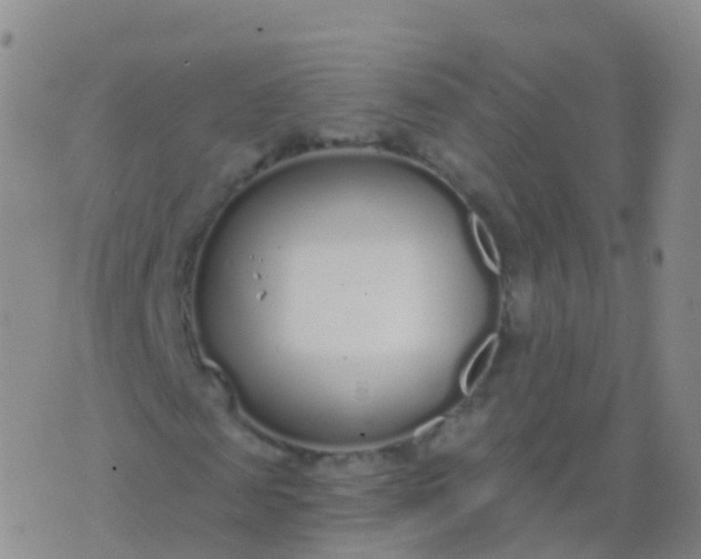 X0000076420817200610202217