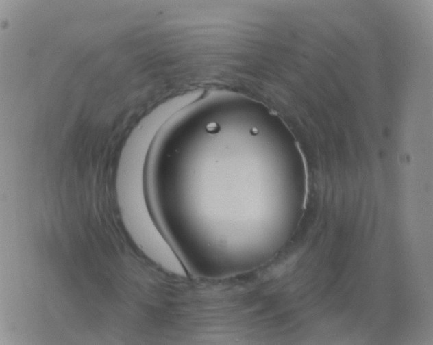 X0000076420818200610202217