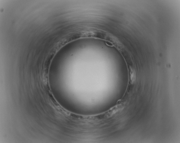 X0000076420819200610202217