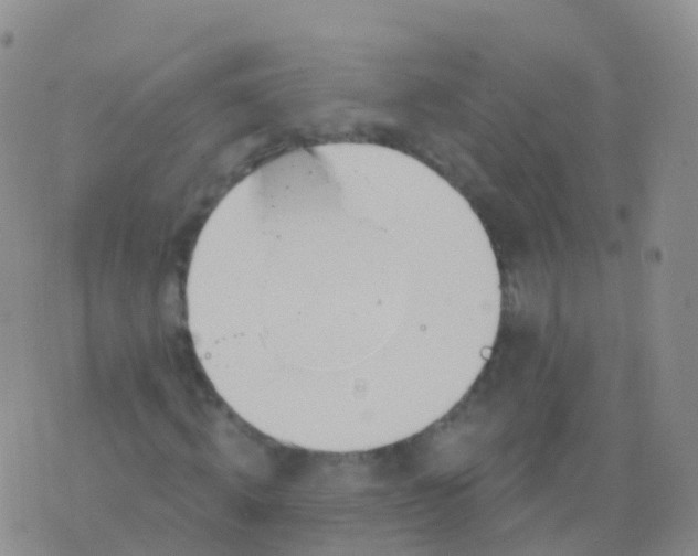 X0000076420820200610202217