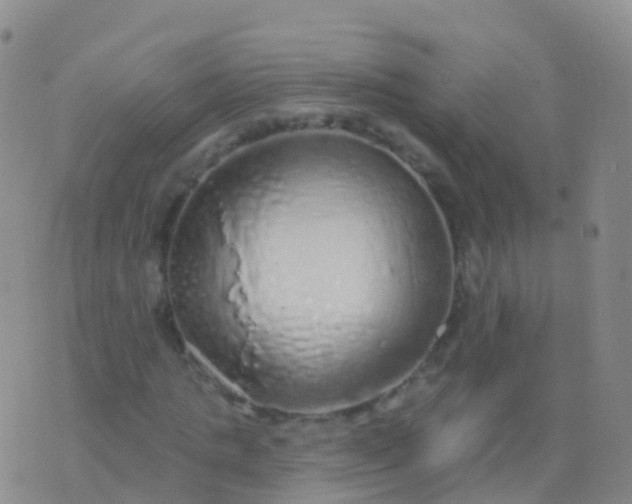 X0000076420821200610202217