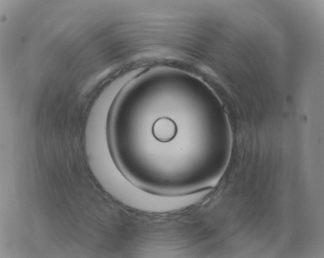 X0000076420822200610202218