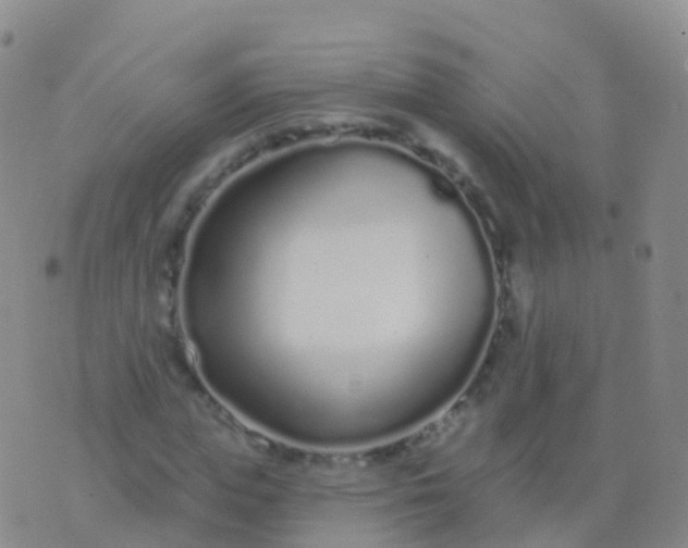 X0000076420823200610202218