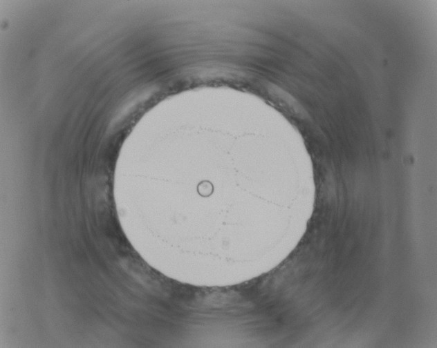 X0000076420824200610202218