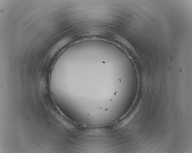 X0000076420826200610202218