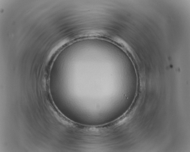 X0000076420827200610202218