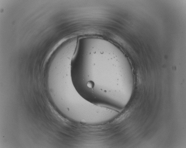 X0000076420828200610202218