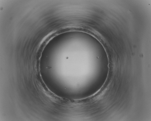 X0000076420830200610202218