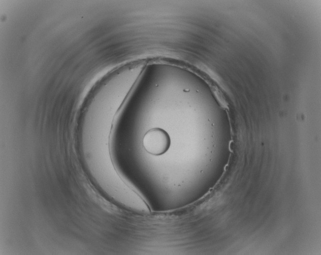 X0000076420832200610202218