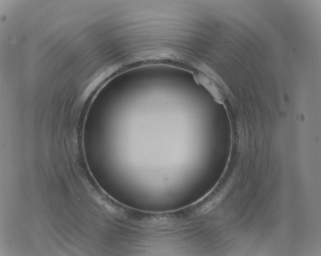 X0000076420834200610202218