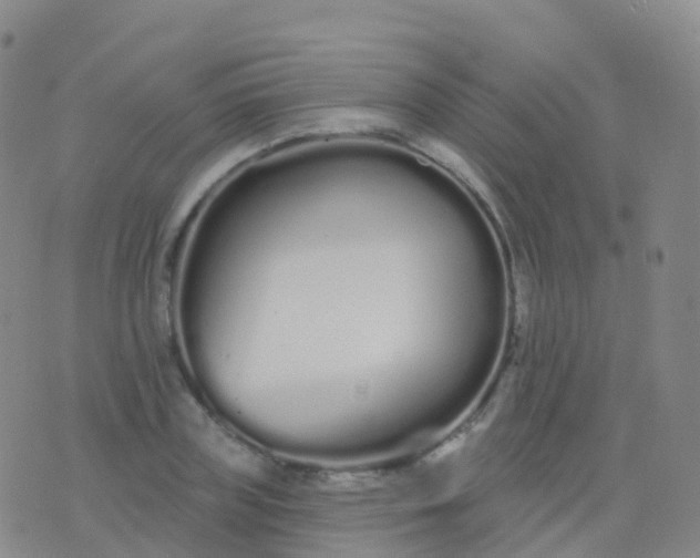 X0000076420835200610202218