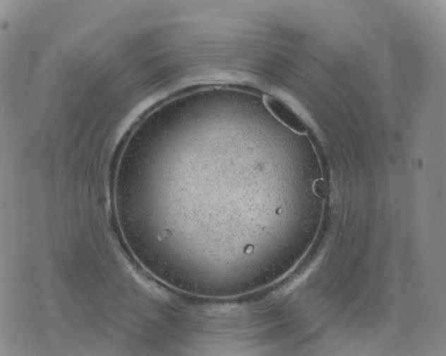 X0000076420837200610202218