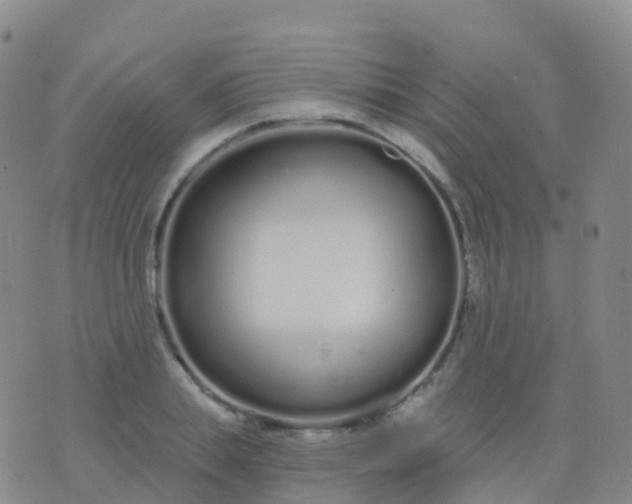 X0000076420839200610202218