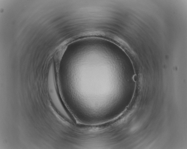 X0000076420841200610202218