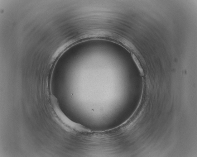 X0000076420842200610202218