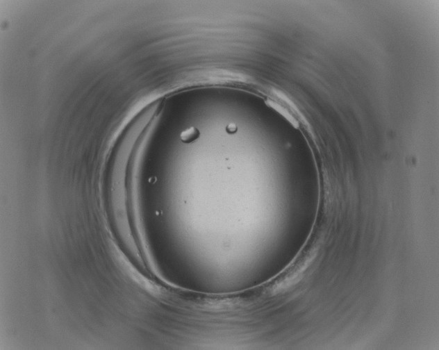 X0000076420843200610202218