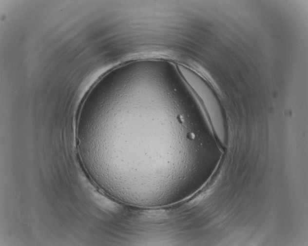 X0000076420844200610202218