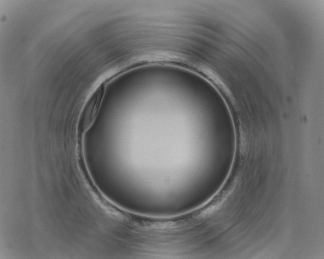 X0000076420845200610202218