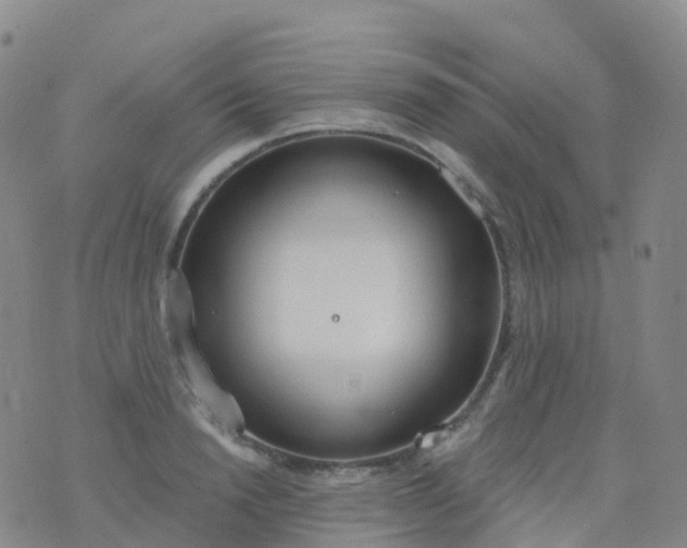 X0000076420846200610202218