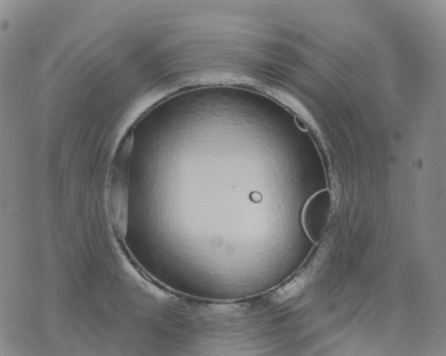 X0000076420847200610202218