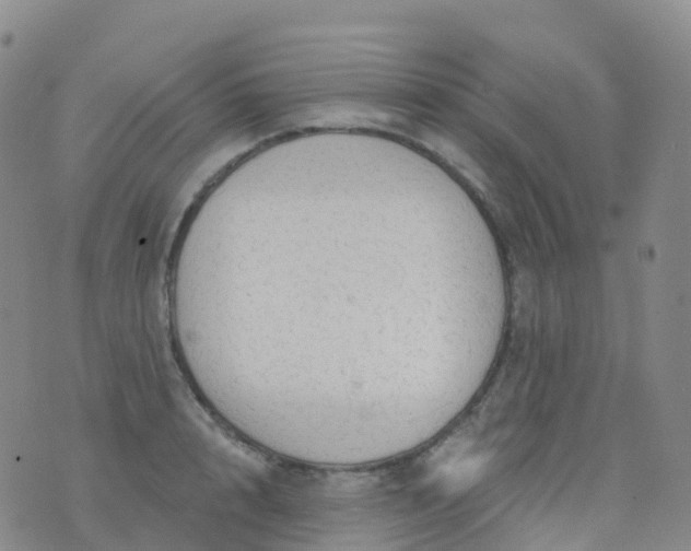 X0000076420848200610202218