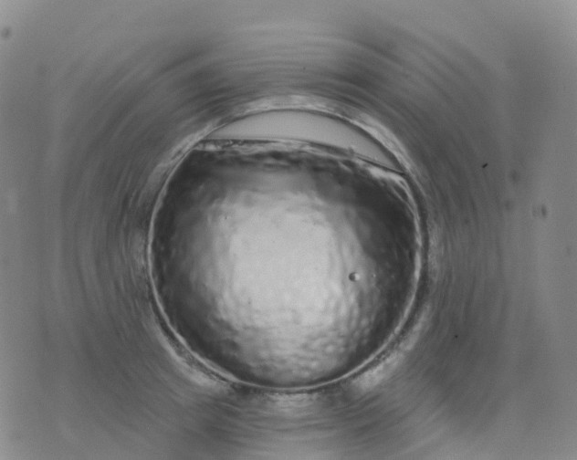 X0000076420849200610202218