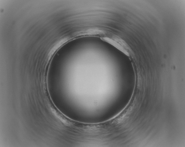 X0000076420850200610202218