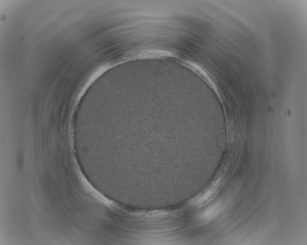 X0000076420851200610202218