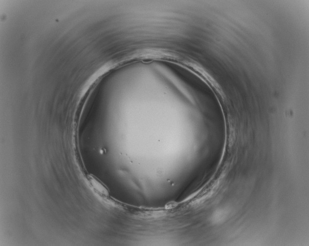 X0000076420853200610202218