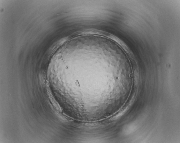 X0000076420857200610202218