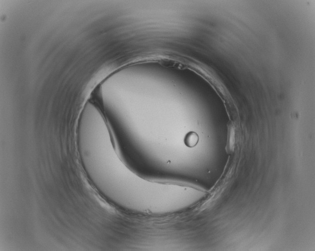 X0000076420858200610202218