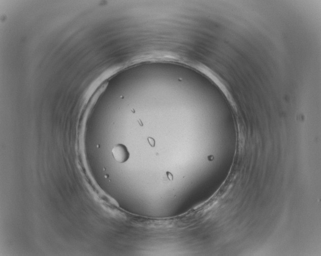 X0000076420861200610202218