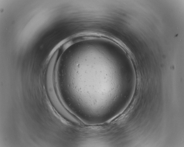 X0000076420862200610202218