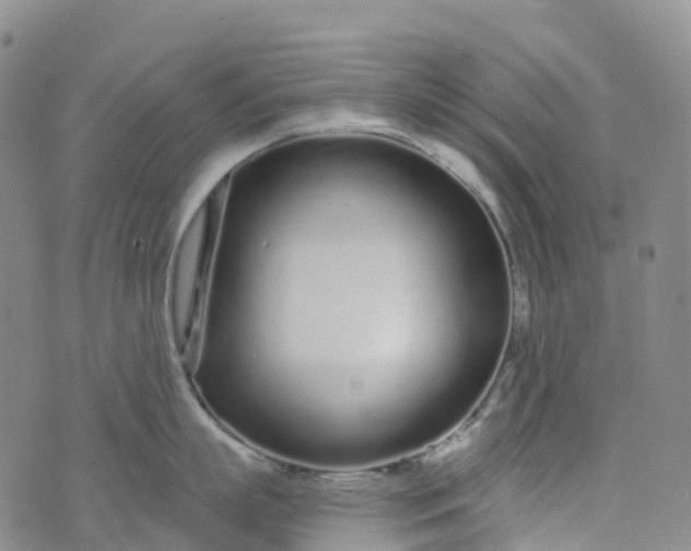 X0000076420863200610202218