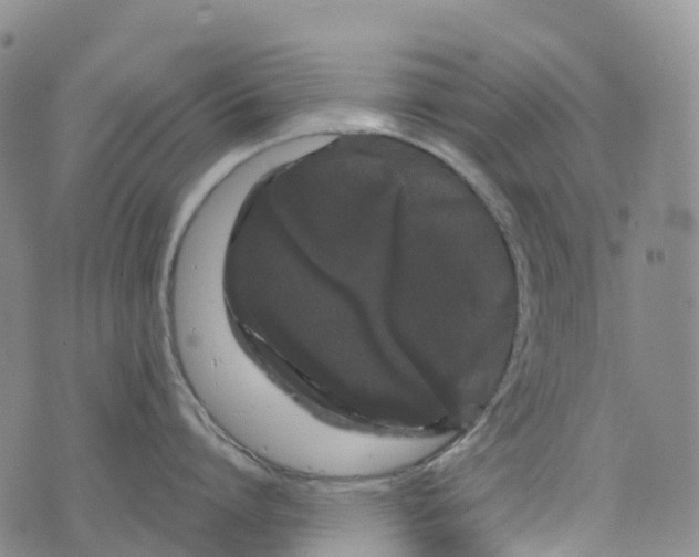 X0000076420864200610202218