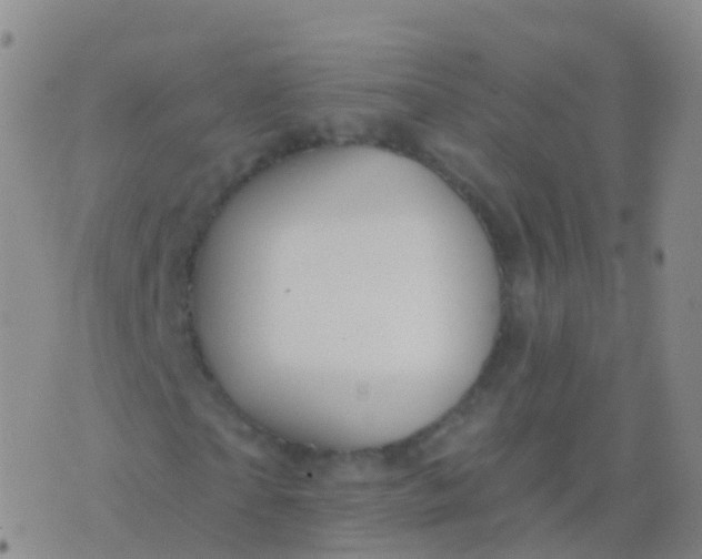 X0000076420865200610202217