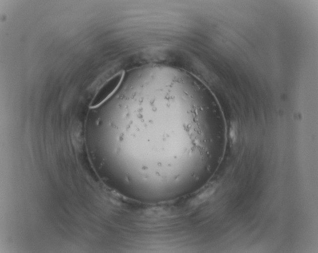 X0000076420867200610202217