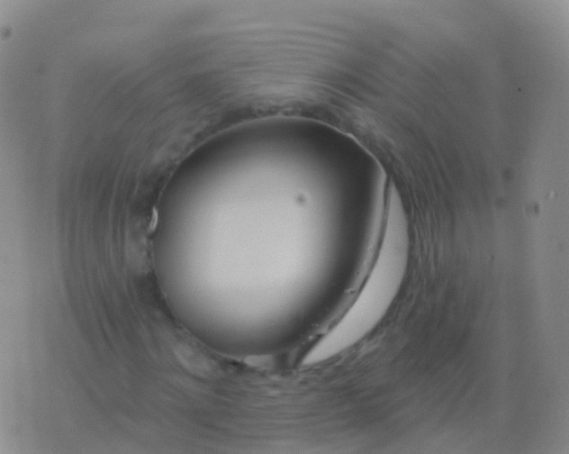 X0000076420868200610202217