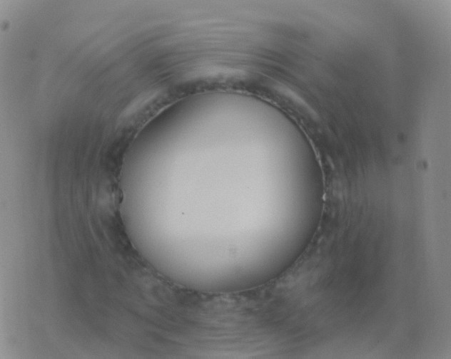 X0000076420869200610202217