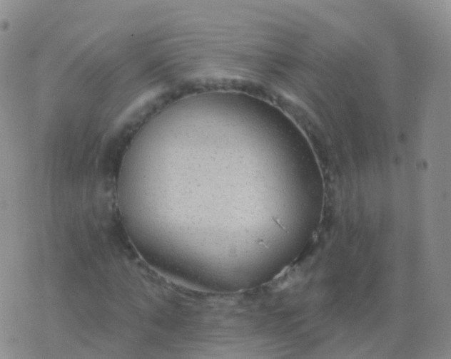 X0000076420870200610202217